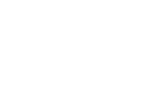 Polar Air